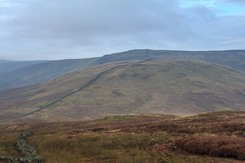 Little Yarlside